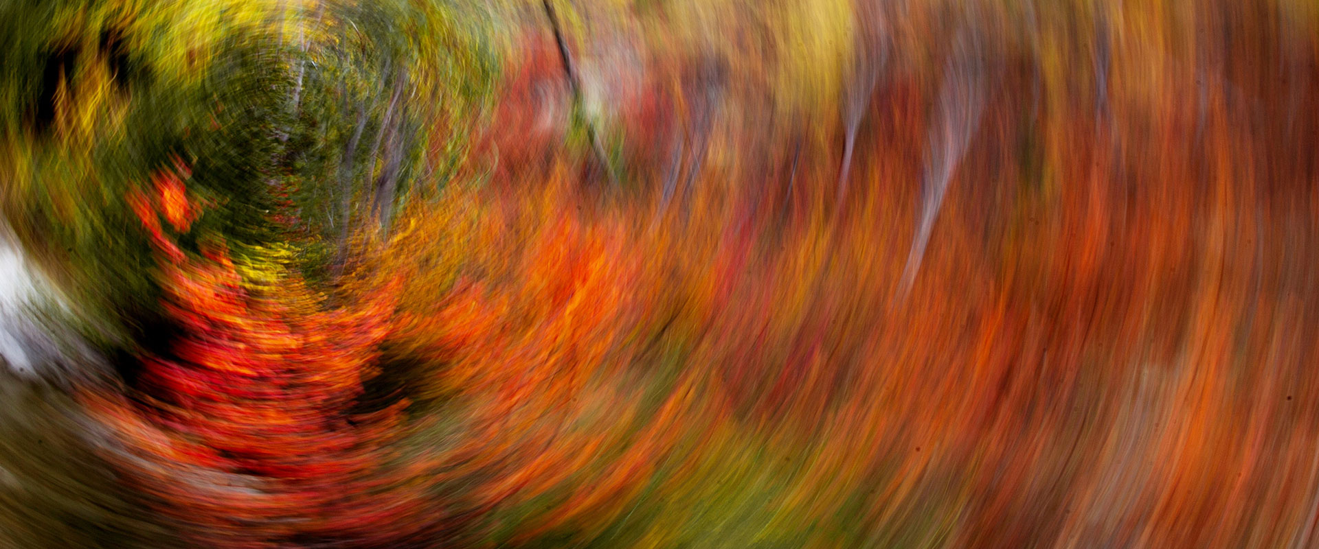 Bunt