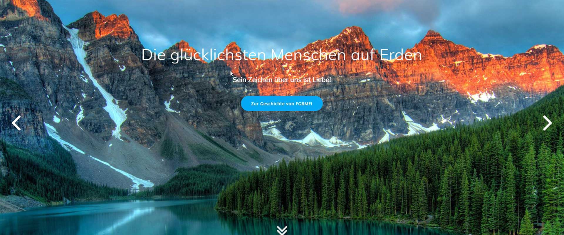 Screenshot Website FGBMFI
